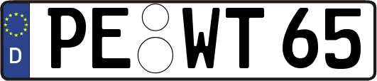 PE-WT65