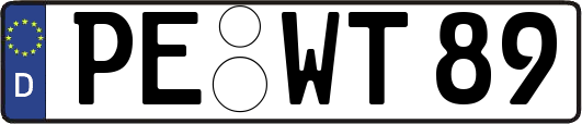PE-WT89