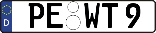 PE-WT9