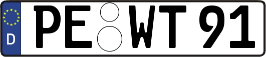 PE-WT91