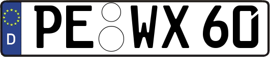 PE-WX60