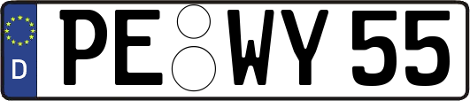 PE-WY55