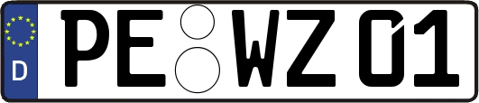 PE-WZ01