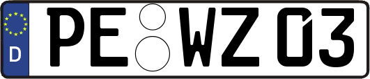 PE-WZ03