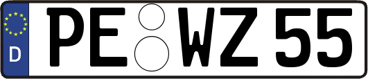 PE-WZ55