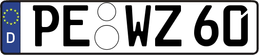 PE-WZ60