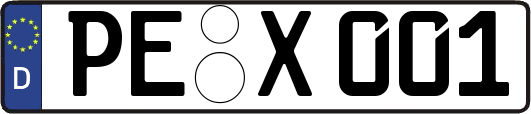 PE-X001