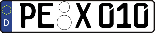 PE-X010
