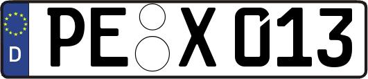 PE-X013