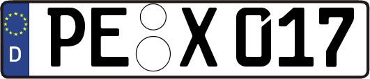 PE-X017