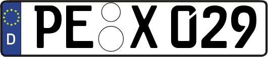 PE-X029