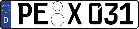 PE-X031