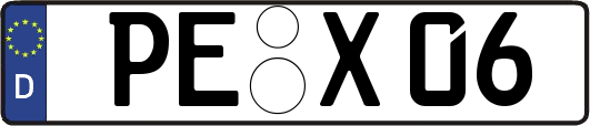 PE-X06