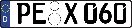 PE-X060