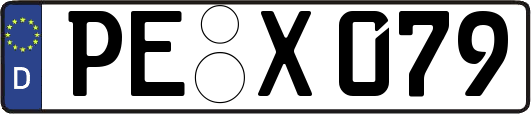PE-X079