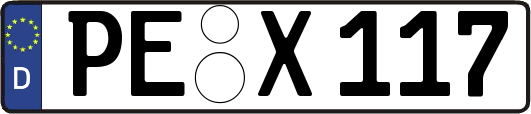 PE-X117