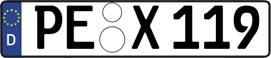 PE-X119