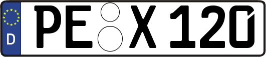 PE-X120