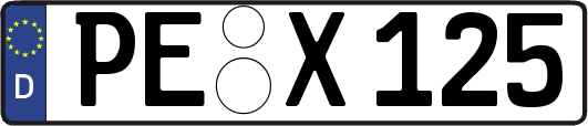 PE-X125