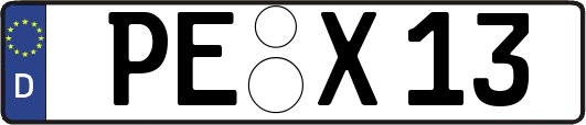 PE-X13