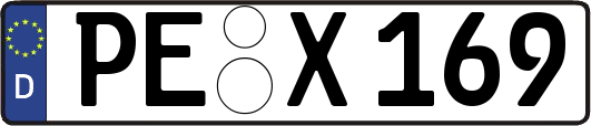 PE-X169