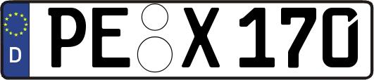 PE-X170