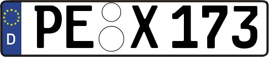 PE-X173