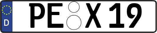 PE-X19