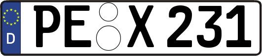 PE-X231