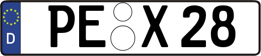 PE-X28