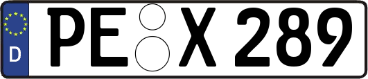 PE-X289