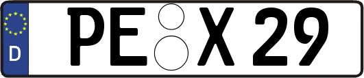 PE-X29