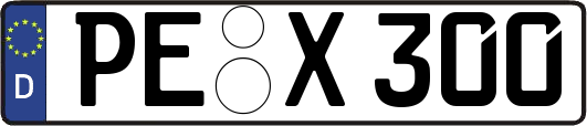 PE-X300