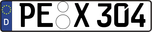 PE-X304