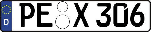 PE-X306