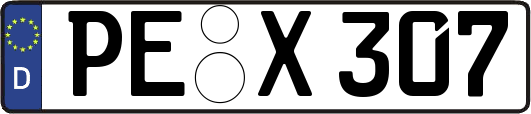 PE-X307