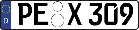 PE-X309