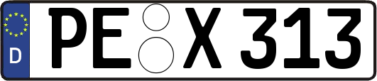 PE-X313
