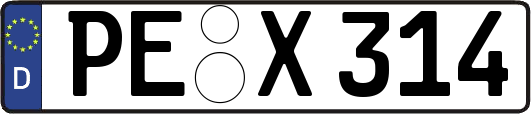 PE-X314