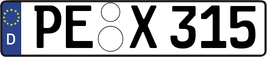 PE-X315