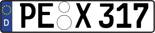 PE-X317
