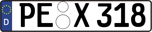 PE-X318