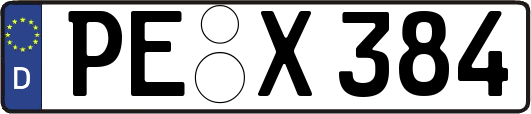 PE-X384