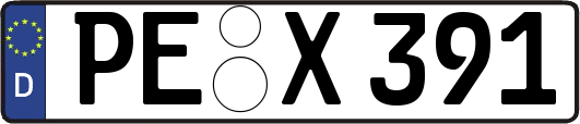 PE-X391