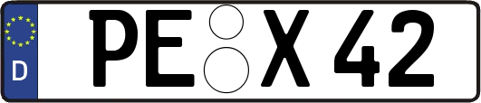PE-X42
