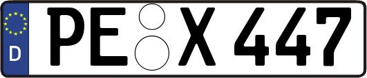 PE-X447