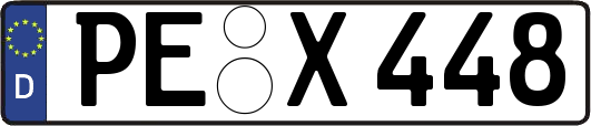PE-X448