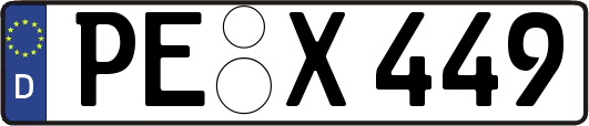 PE-X449