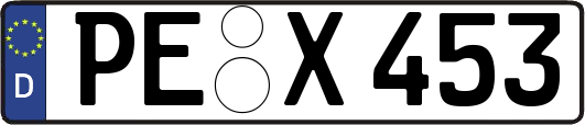 PE-X453
