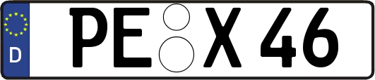 PE-X46